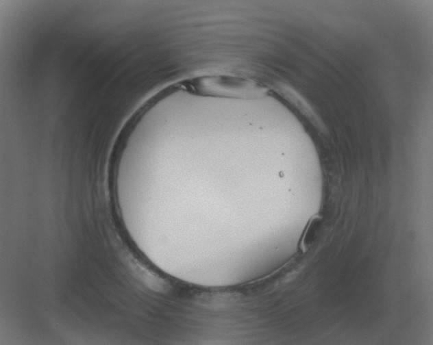 X0000081320884200702082133