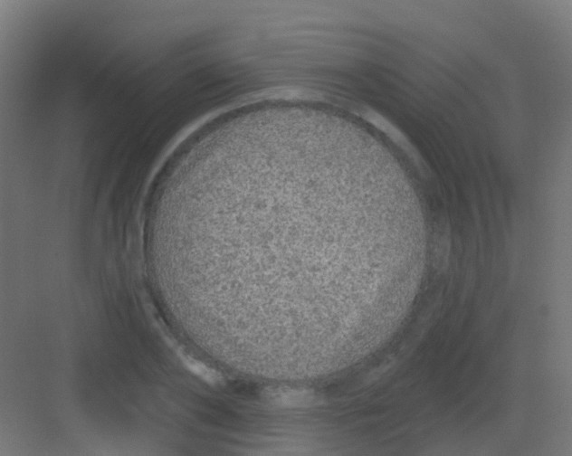 X0000081320886200702082133