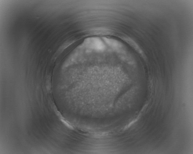 X0000081320889200702082133