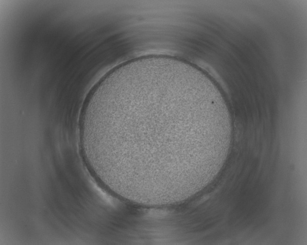 X0000081320890200702082133