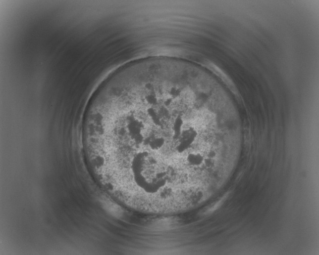 X0000081320891200702082133