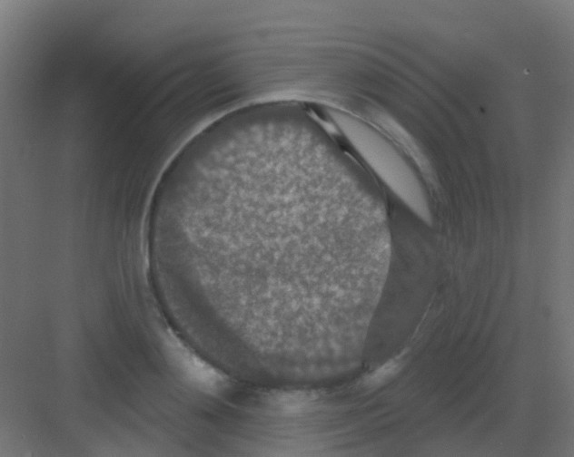 X0000081320892200702082133