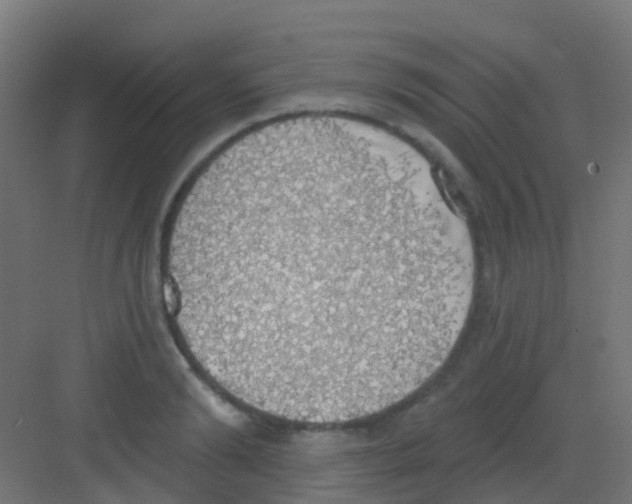 X0000081320894200702082133