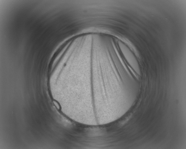 X0000081320896200702082133