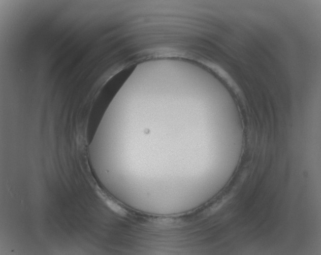 X0000081320897200702082133