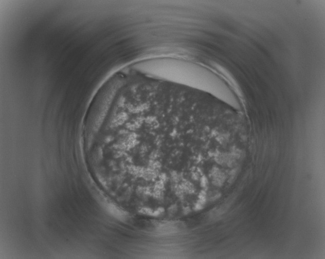 X0000081320899200702082133