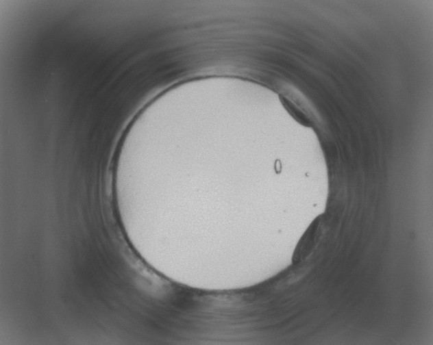 X0000081320900200702082133