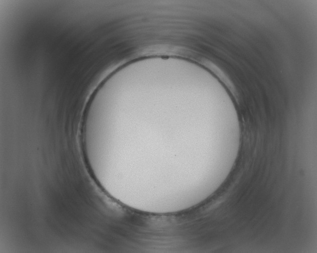 X0000081320901200702082133