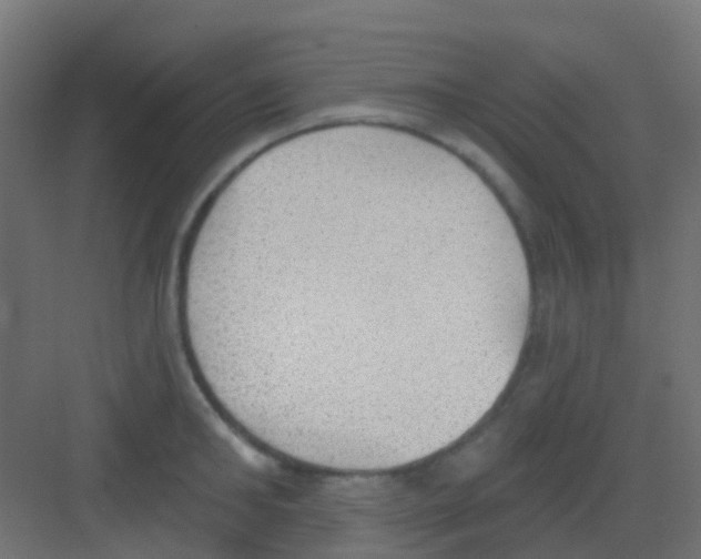 X0000081320902200702082133