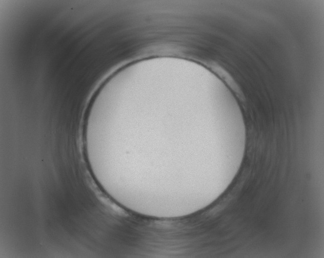 X0000081320904200702082133