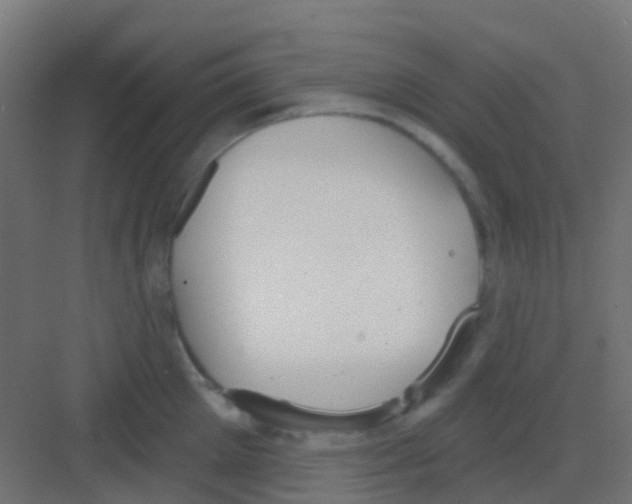 X0000081320905200702082133