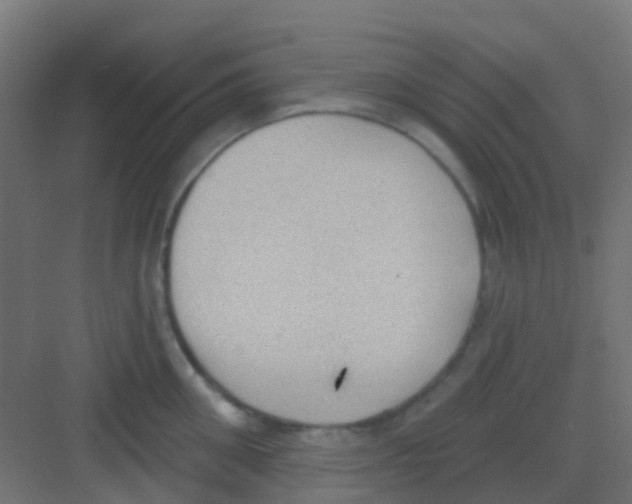 X0000081320906200702082133