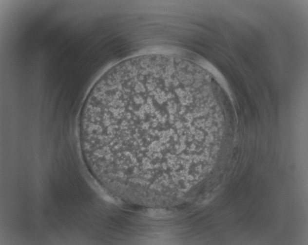 X0000081320907200702082133