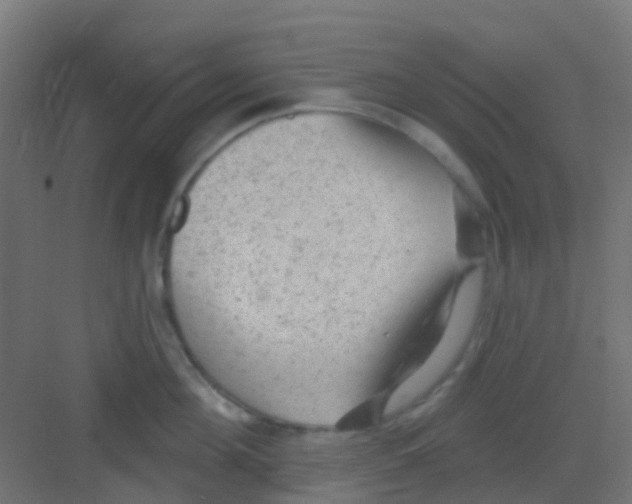 X0000081320908200702082133