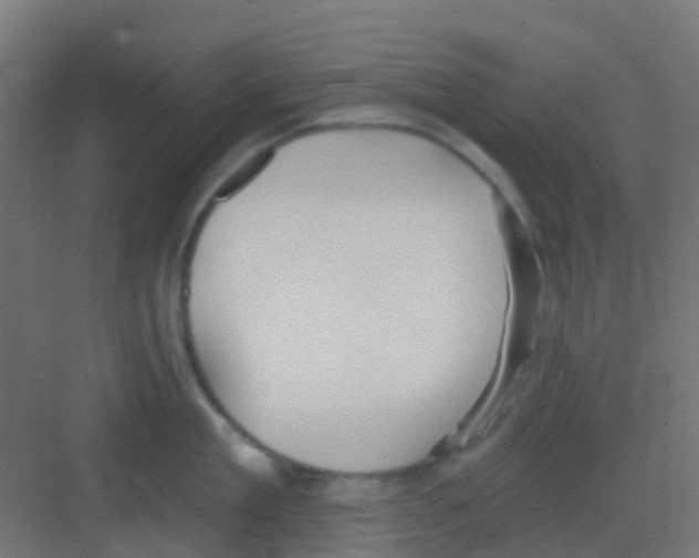 X0000081320909200702082133