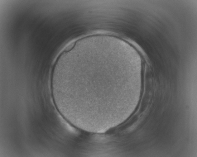 X0000081320910200702082133