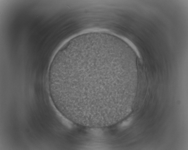 X0000081320911200702082133