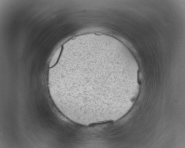 X0000081320912200702082133