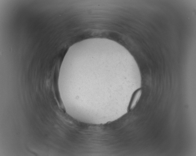 X0000081320914200702082132