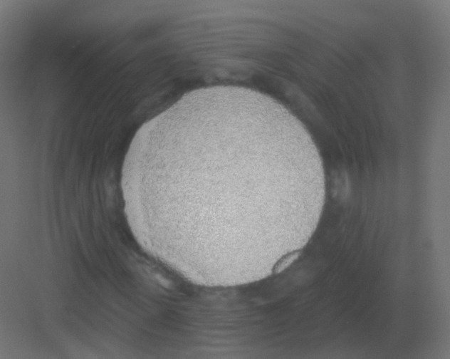 X0000081320915200702082132