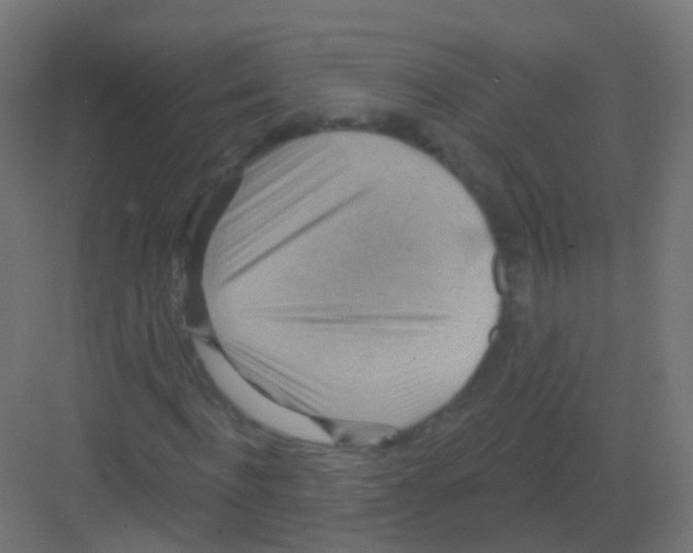 X0000081320916200702082132