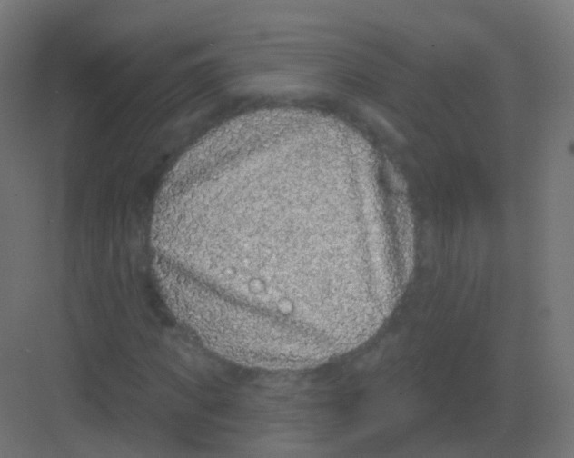 X0000081320917200702082132