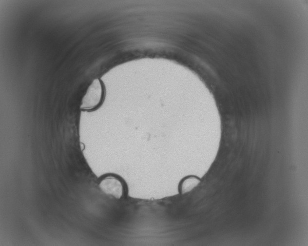 X0000081320918200702082132