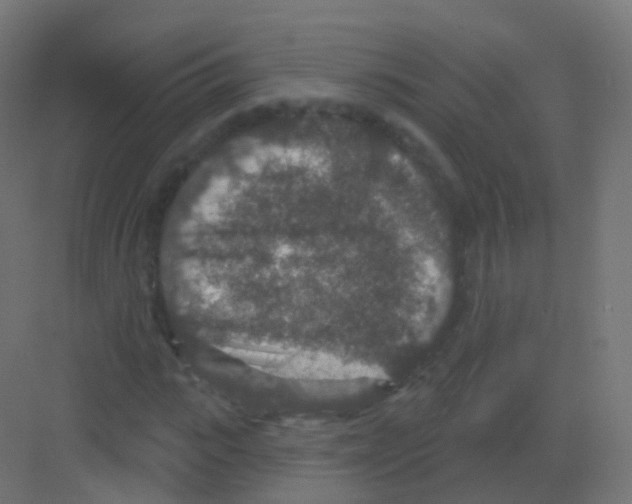 X0000081320919200702082132