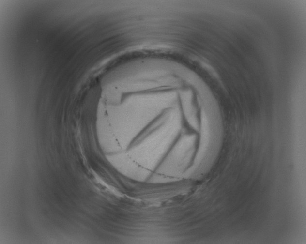 X0000081320920200702082132