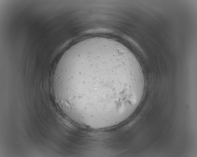 X0000081320921200702082132