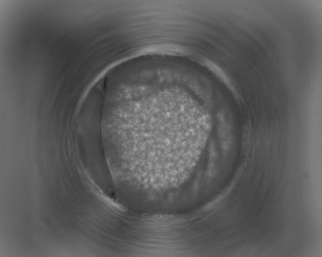 X0000081320923200702082132