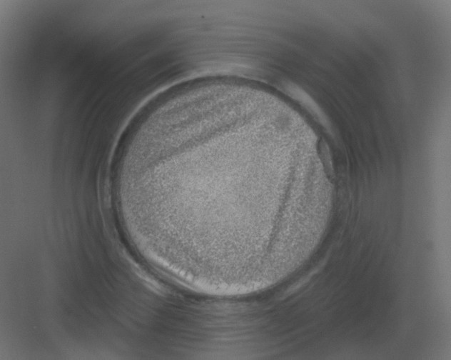 X0000081320924200702082132