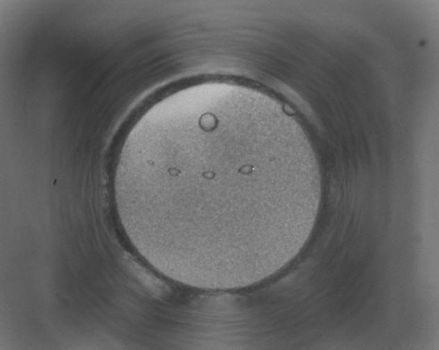 X0000081320926200702082132