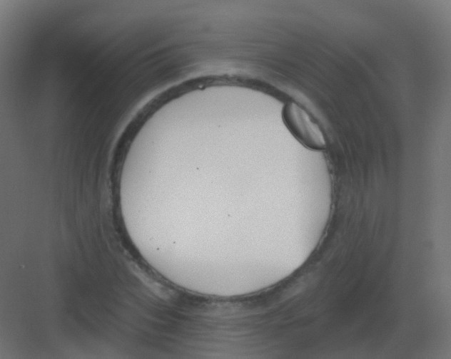 X0000081320927200702082132