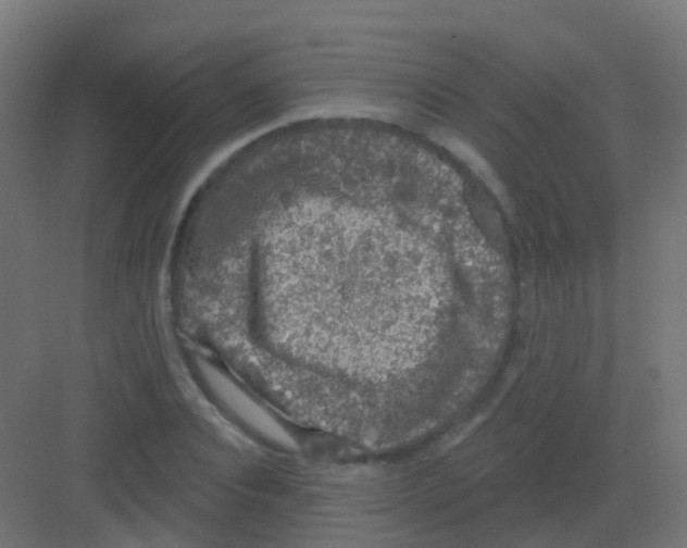 X0000081320928200702082132