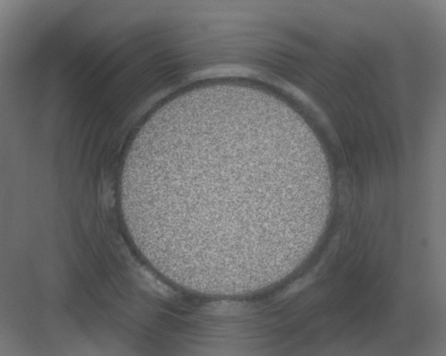 X0000081320929200702082132