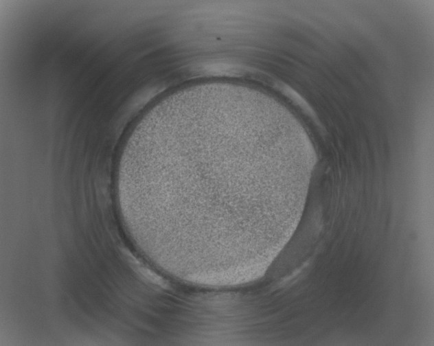 X0000081320930200702082132