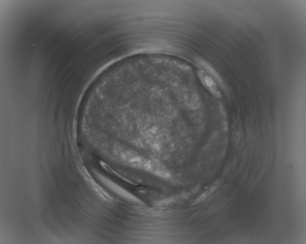 X0000081320932200702082132