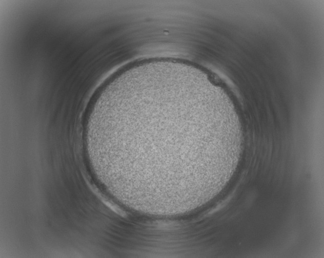 X0000081320933200702082132