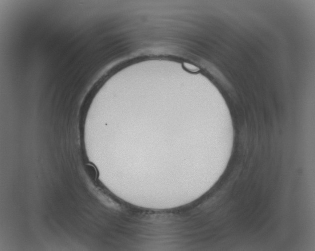 X0000081320934200702082132