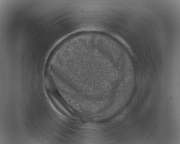 X0000081320935200702082132