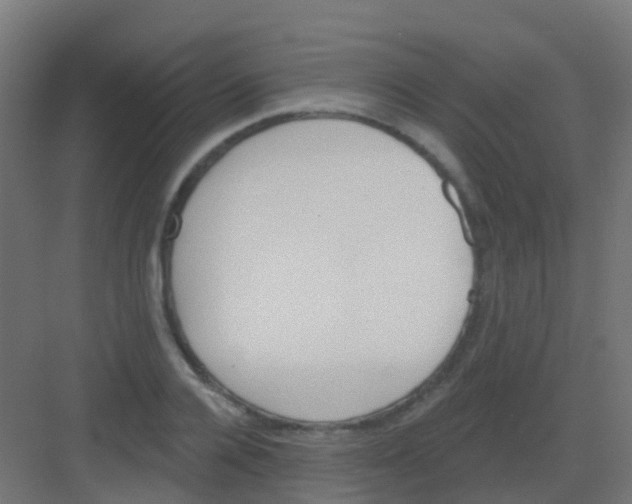 X0000081320936200702082132