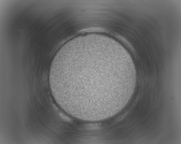 X0000081320937200702082132