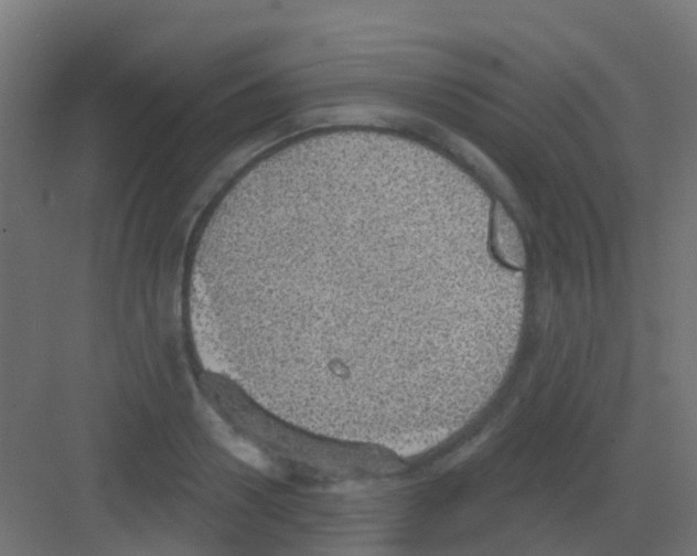 X0000081320938200702082132