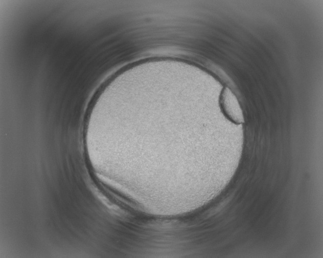 X0000081320939200702082132