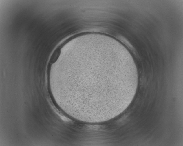 X0000081320940200702082132