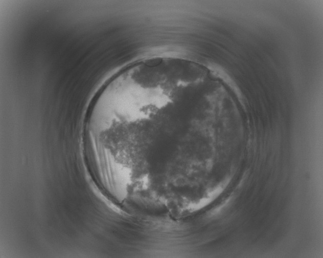 X0000081320941200702082132