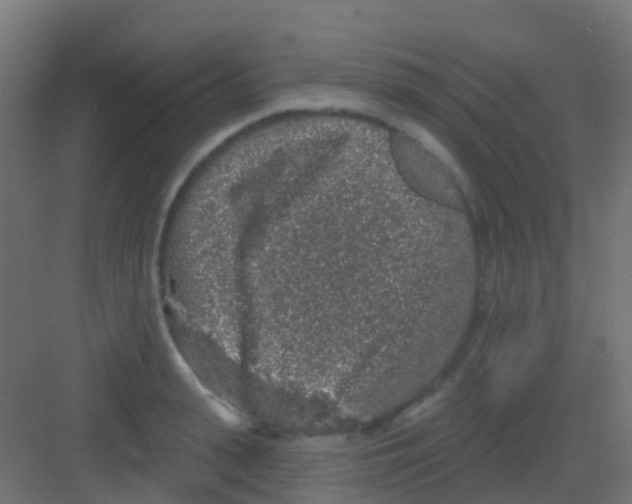 X0000081320943200702082132