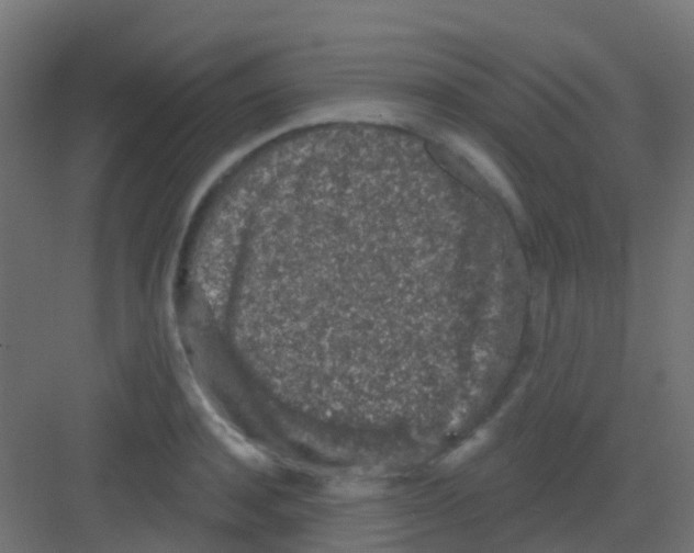 X0000081320944200702082132