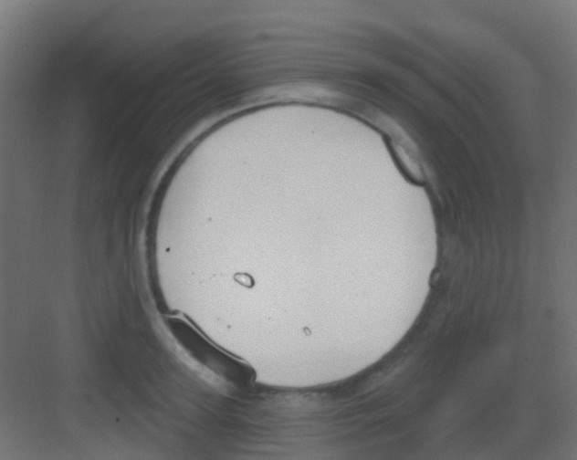 X0000081320947200702082132